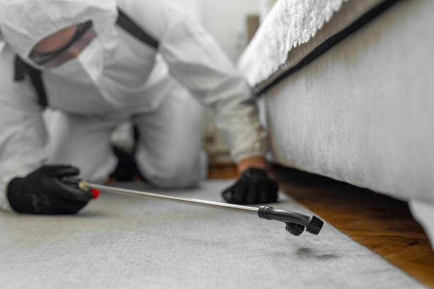 Professional Ant Control technician working in Roma, TX